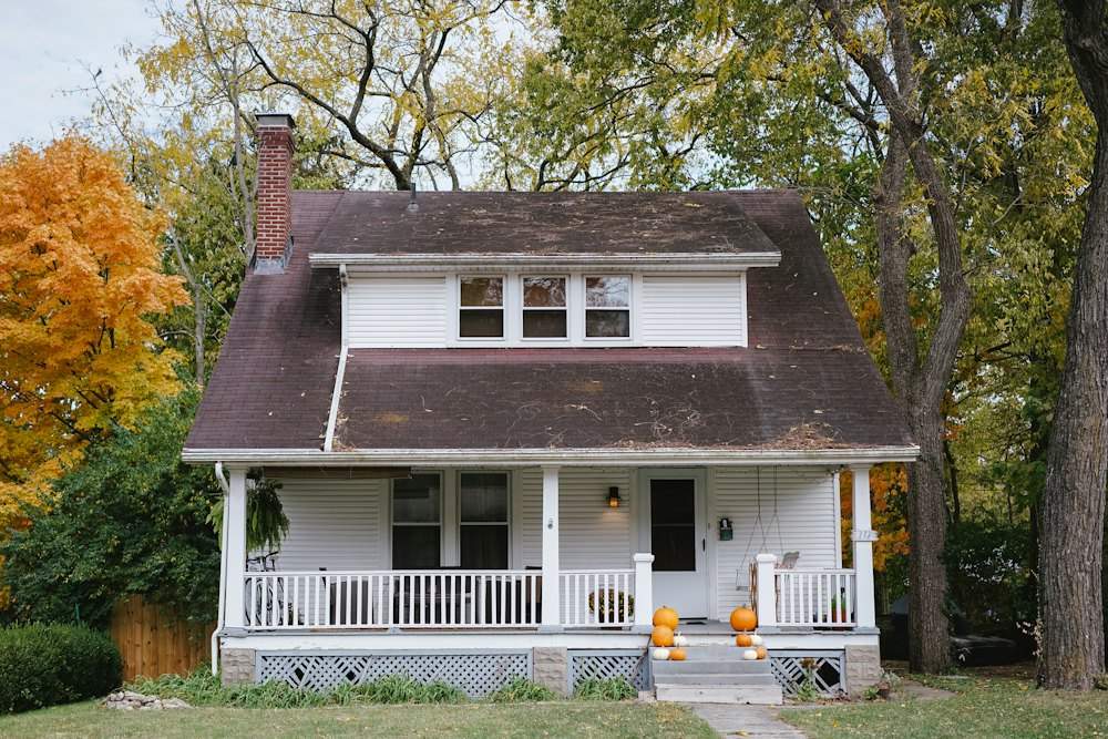 Craftsman-style home with a freshly painted exterior